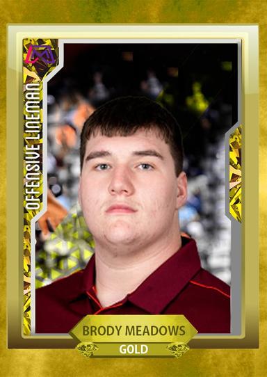 Brody-Meadows-Trading-Card-Gold-Front.jpg